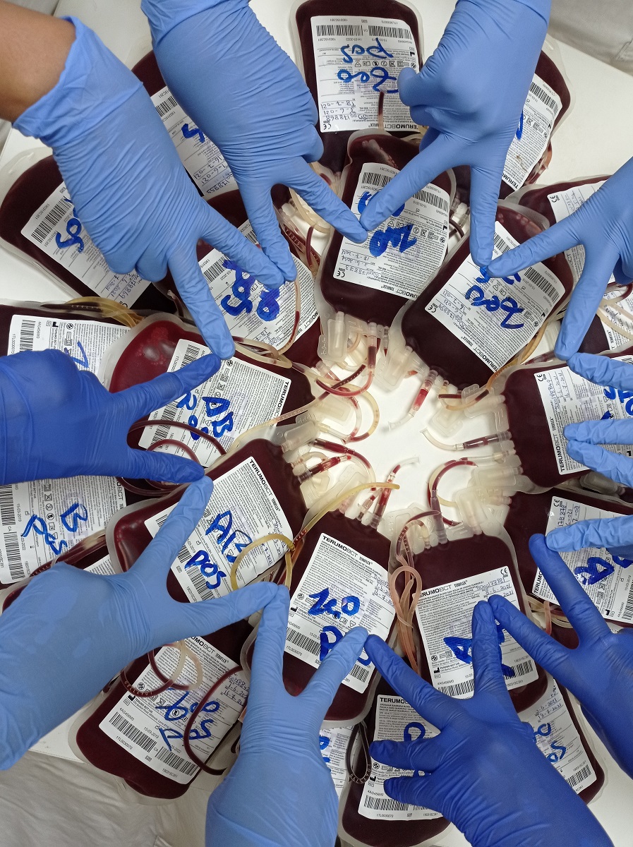 Centro Salam - banca del sangue